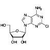 Thumbnail of 2-Chloroadenosine
