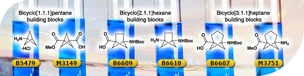 Bicycloalkane Building Blocks as Benzene Bioisosteres