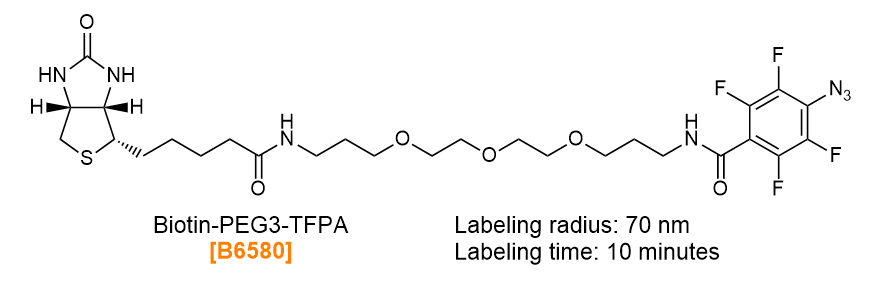 Biotin-PEG3-TFPA