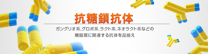 抗糖鎖抗体