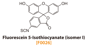 Fluorescein 5-Isothiocyanate (isomer I)