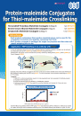 Protein-maleimide Conjugates for Thiol-maleimide Crosslinking