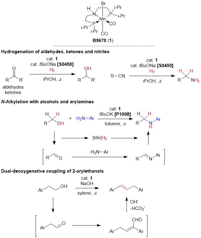 Hydrogen Transfer Reactions