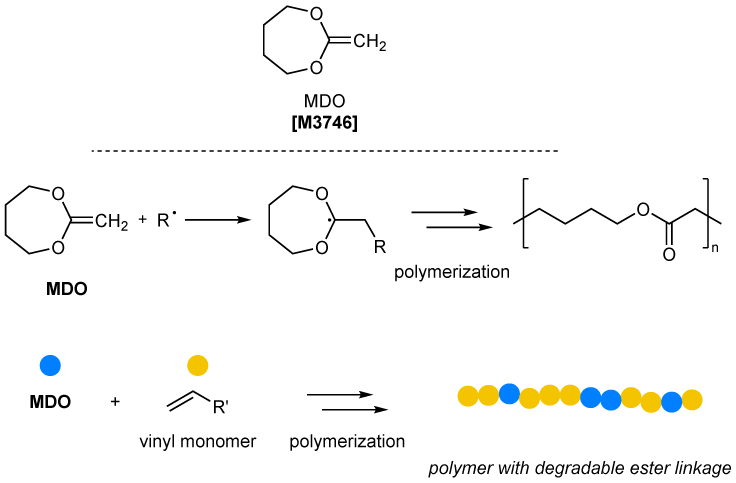 Cyclic Ketene Acetal Monomer Useful for the Development of Degradable Polymers