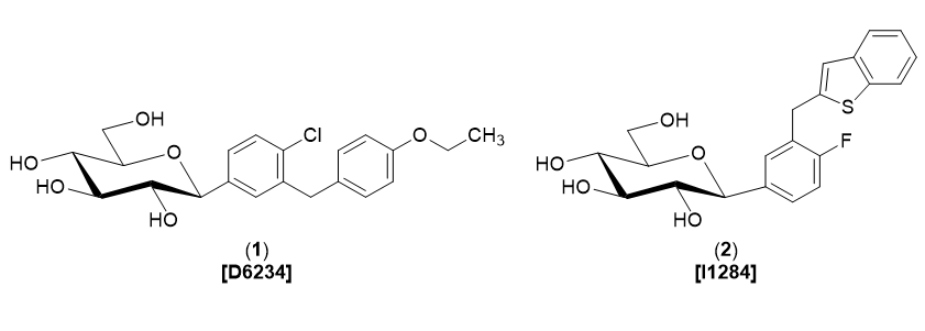 SGLT2 Inhibitors