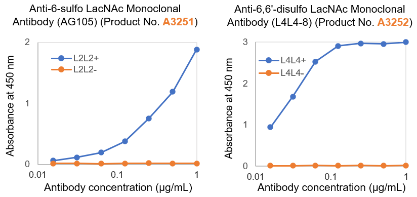 Antibody binding analysis using biotinylated glycans