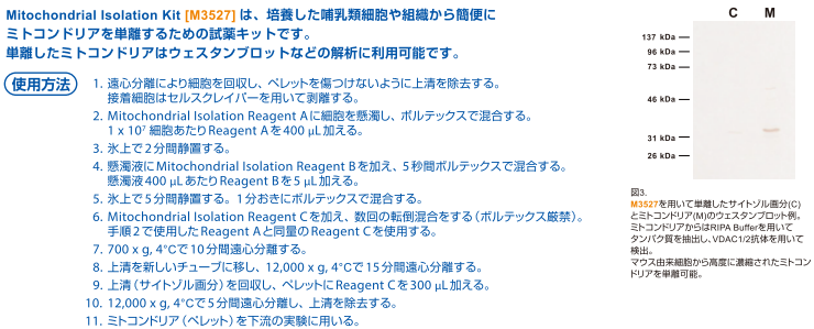 Mitochondrial Isolation Kit（製品コード：M3527）の利用例