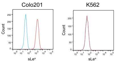 抗糖鎖抗体による腫瘍マーカーの検出