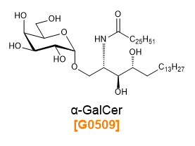 α-GalCer
