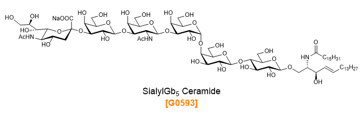 SialylGb5 Ceramide (= SSEA-4)