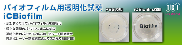 バイオフィルム透明化試薬 iCBiofilm