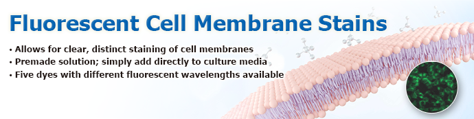 Fluorescent Cell Membrane Stains