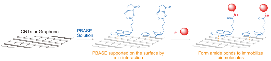 PBASE-mediated immobilization of biomolecules onto CNT/graphene