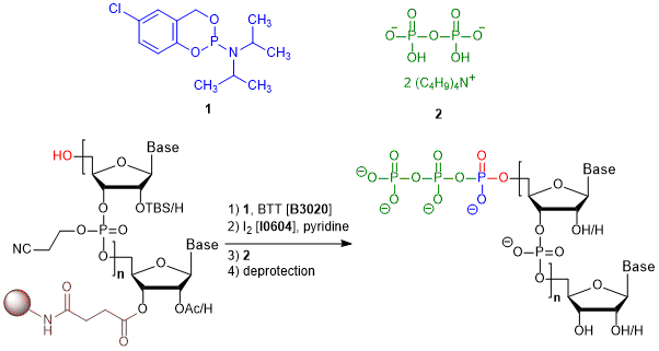 C3326