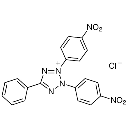 2,3-Bis(4-nitrophenyl)-5-phenyltetrazolium Chloride No-Image
