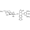 Thumbnail of Etoposide