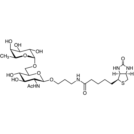 Fuc alpha(1-6)GlcNAc-beta-propylamido-biotin Chemical Structure of Fuc alpha(1-6)GlcNAc-beta-propylamido-biotin