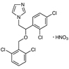 Thumbnail of Isoconazole Nitrate