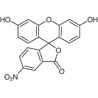 Thumbnail of 5-Nitrofluorescein (isomer I)