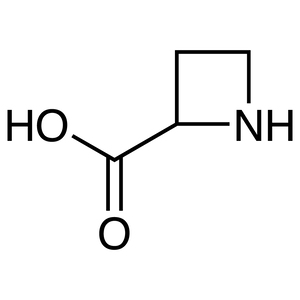 Azetidine-2-carboxylic Acid Azetidine-2-carboxylic Acid