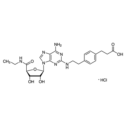 CGS 21680 Hydrochloride Chemical Structure of CGS 21680 Hydrochloride