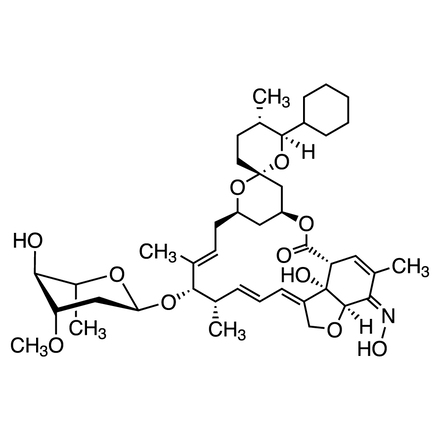 Selamectin No-Image