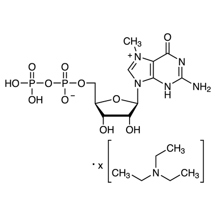 7-Methylguanosine 5'-(Trihydrogen Diphosphate) Triethylamine Salt No-Image