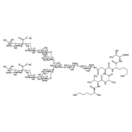 Sialylglycopeptide No-Image