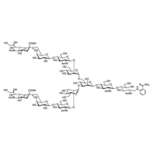 Neu5Acα(2-6) N-Glycan 2AB (500pmol/vial) Neu5Acα(2-6) N-Glycan 2AB (500pmol/vial)